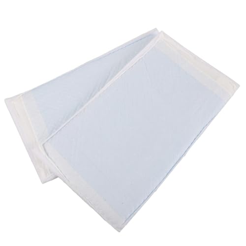 ifundom 2Stücke Saugfähige Pads Einweg Unterlagen für Haustierträger Hochwertige für Welpen und Kleine Haustiere Mit Hoher Absorptionsfähigkeit ifundom 2Stücke Saugfähige Pads Einweg Unterlagen für Haustierträger Hochwertige für Welpen und Kleine Haustiere Mit Hoher Absorptionsfähigkeit von ifundom