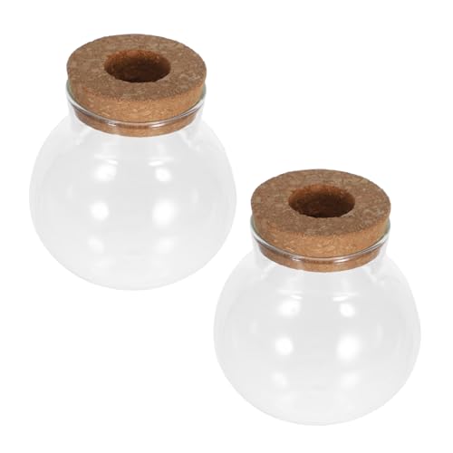 ifundom 2pcs Hydroponische Pflanze Vasen Kleine Glasterrarien Für Desktop Dekoration Dekorative Glasblumenpot -haushaltspflanzenterrarium (480 Ml) von ifundom