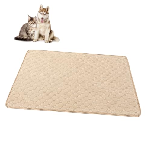 ifundom 2stücke Große wasserdichte Hundepads Für Katzen Und Hunde Ultra-absorbierend Waschbar Für Stubenreinheit Schützende Unterlage Für Zuhause ifundom 2stücke Große wasserdichte Hundepads Für Katzen Und Hunde Ultra-absorbierend Waschbar Für Stubenreinheit Schützende Unterlage Für Zuhause von ifundom