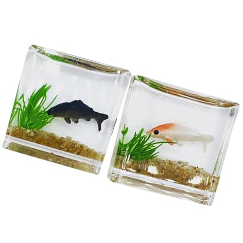 ifundom 2stücke Miniatur Fisch Tank Modelle Realistische Mini Aquarien Für Puppenhaus Dekoration Und Tischzubehör Farben Zufällig Für Mini-gärten Und Kreative Szenen ifundom 2stücke Miniatur Fisch Tank Modelle Realistische Mini Aquarien Für Puppenhaus Dekoration Und Tischzubehör Farben Zufällig Für Mini-gärten Und Kreative Szenen von ifundom