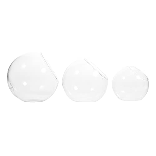 ifundom 3 Stück Oblique Terrarium Glasvase DIY Moosbehälter für Luftpflanzen und Sukkulenten Langlebig und Bruchsicher für Dekorationen ifundom 3 Stück Oblique Terrarium Glasvase DIY Moosbehälter für Luftpflanzen und Sukkulenten Langlebig und Bruchsicher für Dekorationen von ifundom