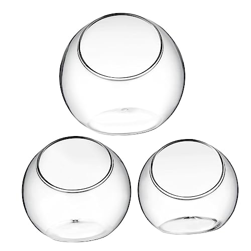 ifundom 3Stücke Terrarium für Sukkulenten Mooslandschaftsflasche für DIY Innendekoration und Pflanzgefäße Transparent und Vielseitig von ifundom