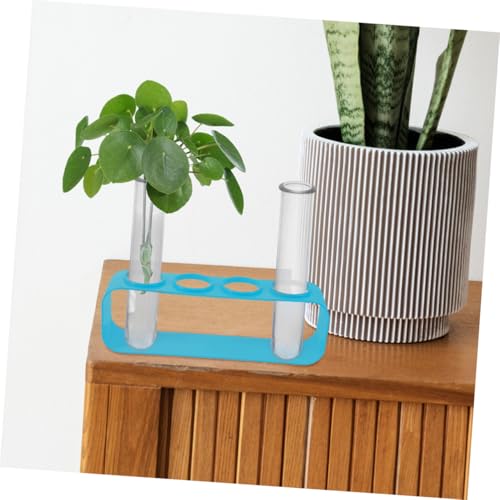 ifundom 4 Stück Teiliges Transparente Kunststoff Blumenwasser Röhrchen für Hydroponik Pflanzenvermehrung DIY Blumenarrangements Einfache Reinigung und Stilvolles Design von ifundom