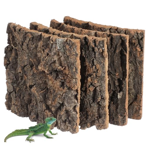 ifundom 4Stücke Korkrinde für Reptiliengehege für Terrarium mit Realistischem Look Benutzerfreundliche Einrichtung für Bartagamen Eidechsen und Frösche von ifundom