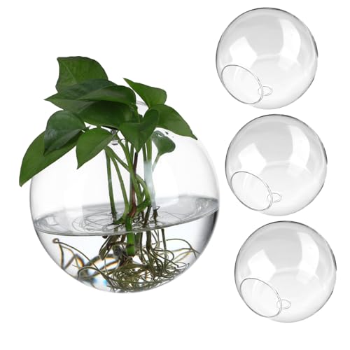 ifundom 4Stücke Wandpflanzer Glasvase Für Hydrokultur Pflanzen Transparente Blumenvasen Halter Für Dekorative Innenraumbegrünung von ifundom