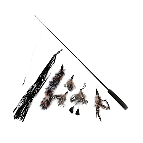 ifundom 6 Stück Teiliges Katzenangel Kreative Teaser Sticks mit Bunten Köpfen Tragbar und Lustig für Katzen und Kätzchen ifundom 6 Stück Teiliges Katzenangel Kreative Teaser Sticks mit Bunten Köpfen Tragbar und Lustig für Katzen und Kätzchen von ifundom