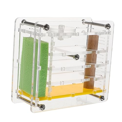 ifundom Ameisenkletterbox für Haustiere Transparentes Acryl mit Beobachtungsfunktion Wissenschaftliches Spielzeug für Ameisenhaltung und Zucht ifundom Ameisenkletterbox für Haustiere Transparentes Acryl mit Beobachtungsfunktion Wissenschaftliches Spielzeug für Ameisenhaltung und Zucht von ifundom
