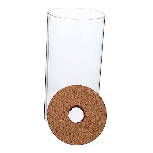 ifundom Borosilikatglas ökologischer Flasche Anlage Luftpflanzenterrarium Landschaftsbehälter Desktop-Sukkulentenflasche Moos Landschaft Container Flasche mit Mikrolandschaft Transparent ifundom Borosilikatglas ökologischer Flasche Anlage Luftpflanzenterrarium Landschaftsbehälter Desktop-Sukkulentenflasche Moos Landschaft Container Flasche mit Mikrolandschaft Transparent von ifundom