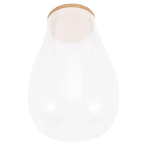 ifundom DIY Betta Flasche Glasterrarium für Landschaften Ökologischer Dekorationsbehälter für Pflanzen mit Holzverschluss Kreative Raumdekoration für Zuhause und Büro von ifundom