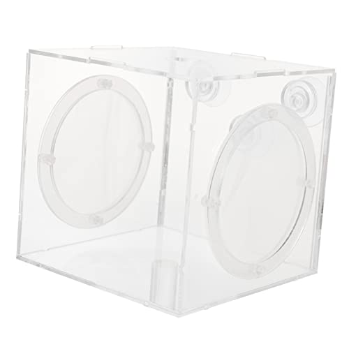 ifundom Fischzuchtbox für Aquarien Isolation Box für Jungfische zu Installieren und Tragbar Sicher für Zucht von Kleinen Fischen von ifundom