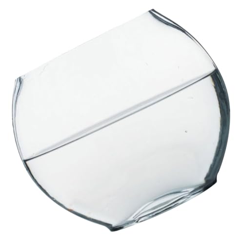ifundom Glasflasche Terrarium für Mikrolandschaften Dekorative Pflanzenflasche Robustem für Moos und Garten Dekoration Vielseitig von ifundom