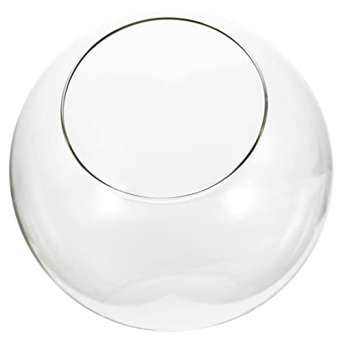 ifundom Glasmoosflasche Hochtransparentes DIY Terrarium für Landschaften für Sukkulenten und Luftanlagen Reinigen Dekoration von ifundom