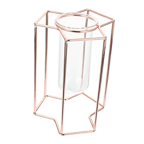 ifundom Glasröhrenvase Grün Mit Metallregal Für Hydrokultur Transparenter Glasbehälter Zum Abnehmen Für Einfache Pflanzenpflege Platzsparend Und Leicht Zu Lagern von ifundom