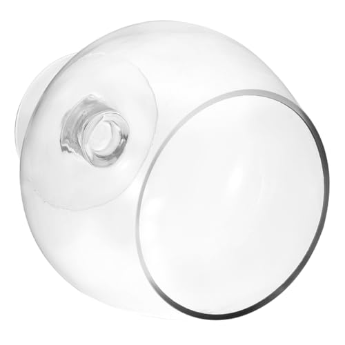 ifundom Goldfischglasvase aufzuchtfutter Fische bürodeko Fische Aquarium blumentöpfe übertöpfe wasserbecken Tischtank Fischglas für Terrarium Panzer Aquarium aus Glas Fischbecken aus Glas von ifundom