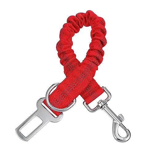 ifundom Hundegehseil mit Reflektierendem Design Elastische Nylonleine für Sicheres Nächtliches Spazierengehen für Kleine und Mittelgroße Haustiere Bequem und Strapazierfähig ifundom Hundegehseil mit Reflektierendem Design Elastische Nylonleine für Sicheres Nächtliches Spazierengehen für Kleine und Mittelgroße Haustiere Bequem und Strapazierfähig von ifundom