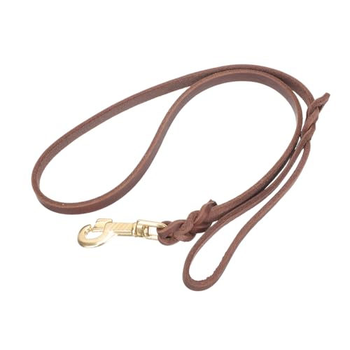 ifundom Hundeleine co Ausbildung Geschirr verschleißfeste Haustierleine Hundespaziergang pet Supplies bodentrampolin Outdoor Welpenleine mit Schnallendesign Bequeme Haustierleine Eisen rot von ifundom