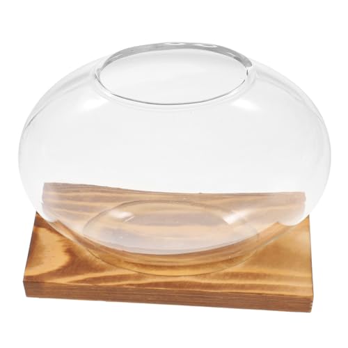 ifundom Hydroponische Pflanze Ausbreitung Glas Terrarium Container Desktop Terrarium Innenpflanz von ifundom