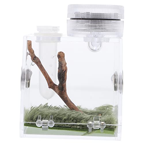 ifundom Jumping Spider Habitat Box Mini Terrarium für Springspinnen mit Futteröffnung und Beleuchtung Kompakt Durchsichtig Leicht Tragbar für Kleine Spinnen und Insektenhalter ifundom Jumping Spider Habitat Box Mini Terrarium für Springspinnen mit Futteröffnung und Beleuchtung Kompakt Durchsichtig Leicht Tragbar für Kleine Spinnen und Insektenhalter von ifundom