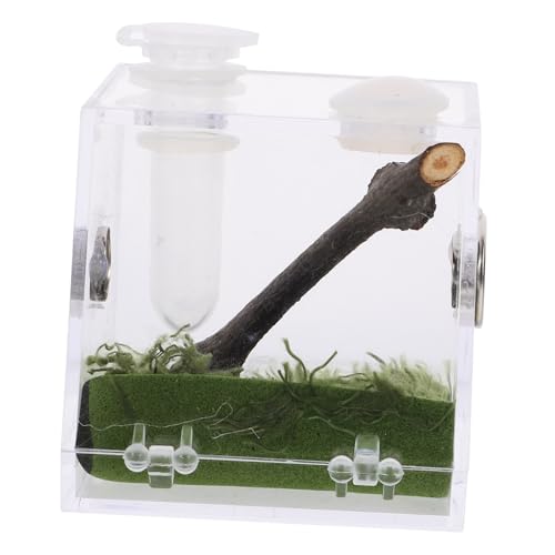ifundom Kasten Springspinnen-zuchtbox Lebensraum Fall Spinnenfütterungsterrarium Springspinnen-Terrarium Luftbefeuchter Lebensraum Käfig Sprungspinnengehege Container Gehäuse Tank Acryl von ifundom