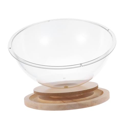 ifundom Katzenbett Transparent mit Holzständer Einzigartiges Katzennest für Kleine Katzen Komfortabel und Vielseitig Einsetzbar für Spiel und Jedem von ifundom