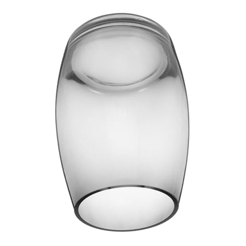 ifundom Klarglas-Terrarium, Mikro-landschaftsflasche, Moos-Terrarium, Fischglas-vase, Kleine Glasvase, Luftpflanzenhalter, Schreibtischschmuck ifundom Klarglas-Terrarium, Mikro-landschaftsflasche, Moos-Terrarium, Fischglas-vase, Kleine Glasvase, Luftpflanzenhalter, Schreibtischschmuck von ifundom