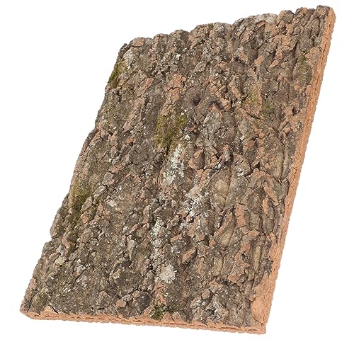 ifundom Korkrinde für Reptilien Terrarium Hintergrund Natürliche Korkplattform für Schlangen Eidechsen und Kriechtiere für Reptiliengehege Kletterfreundlich und ifundom Korkrinde für Reptilien Terrarium Hintergrund Natürliche Korkplattform für Schlangen Eidechsen und Kriechtiere für Reptiliengehege Kletterfreundlich und von ifundom