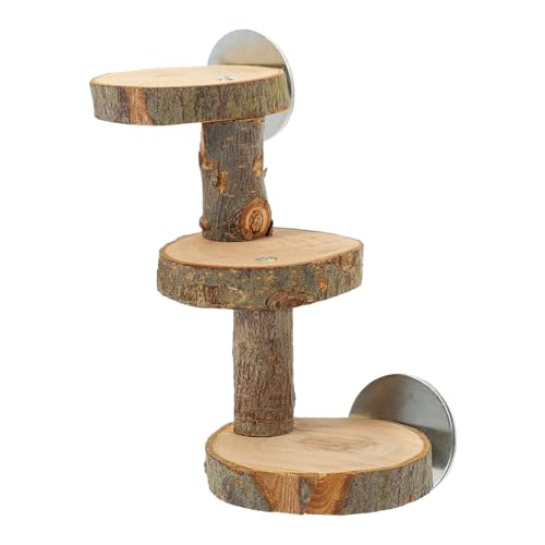 ifundom Kreative Papageienleiter aus Holz Vogelspielzeug mit Vogelzubehör für Hamster und Kleine Stufige Kletterleiter für Käfige für Nagetiere ifundom Kreative Papageienleiter aus Holz Vogelspielzeug mit Vogelzubehör für Hamster und Kleine Stufige Kletterleiter für Käfige für Nagetiere von ifundom
