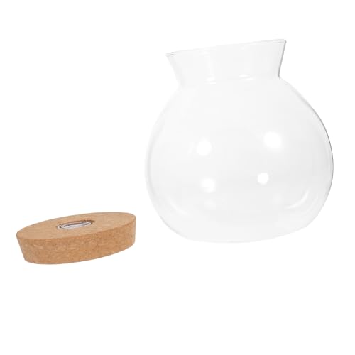 ifundom LED Fischflasche mit Holzabdeckung und LED Licht Kreative Glasflasche für DIY Mikroszenarien und Terrarien zur Verschönerung von Wohnräumen von ifundom