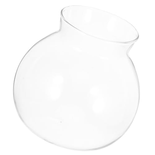 ifundom Mikro Landschaftsflasche Fisch Tischaquarium Desktop Pflanze Mini Tank Kleine Zarte Dekoration Vase Terrarium Krug Schüssel Durchsichtiger Fächer Hängetopf Hohes von ifundom