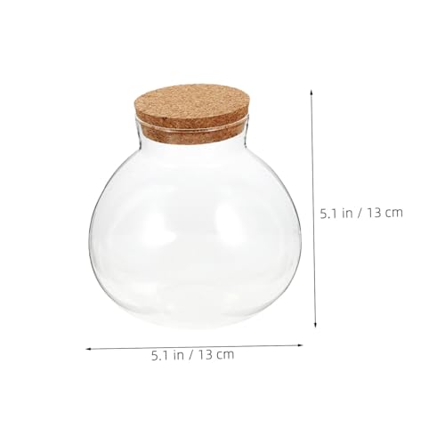 ifundom Mikrolandschaft Ökologisches Flaschenterrarium Mit Deckel Landschaftsflasche Terrariumbehälter Sukkulenten Terrarium Ökosystem Flasche Terrarium Kugelglas Korkdeckel Glas ifundom Mikrolandschaft Ökologisches Flaschenterrarium Mit Deckel Landschaftsflasche Terrariumbehälter Sukkulenten Terrarium Ökosystem Flasche Terrarium Kugelglas Korkdeckel Glas von ifundom