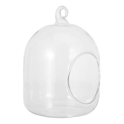 ifundom Flaschen Terrarium Blasenpflanzer Aus Glas Kleines Terrarium Mit Moos Mikrolandschaftsflasche Für Bürotisch Kleine Blumenvase Als Heimdekoration von ifundom