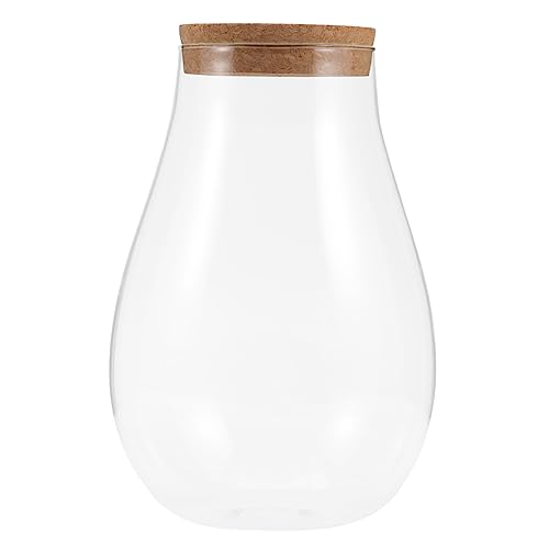 ifundom Moos-Öko-Flasche Terrarienglas groß Fisch Pflanzenglas-Terrarium Landschaft Flasche Mini zimmerpflanzen Sustainability glasflasche Mikro-Landschaftsbehälter Terrarium hölzern von ifundom