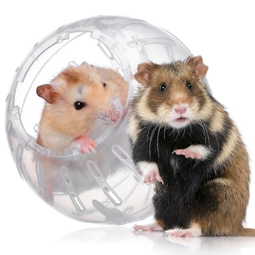 ifundom Niedlicher Mini-Laufball Für Zwerghamster Hamster-Übungsball Geräuschloses Hamsterrad Viel Platz Leicht Zu Reinigen Für Kleine Und Mittelgroße Hamster Um Langeweile Zu Reduzieren von ifundom
