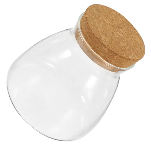 ifundom Öko-flaschenornamente Hydroponisches Terrarium Geschlossenes Terrarium Wasserpflanzgefäß Transparenter Terrarienbehälter Landschaft Terrarium Luftpflanzenhalter Anlage Glas ifundom Öko-flaschenornamente Hydroponisches Terrarium Geschlossenes Terrarium Wasserpflanzgefäß Transparenter Terrarienbehälter Landschaft Terrarium Luftpflanzenhalter Anlage Glas von ifundom