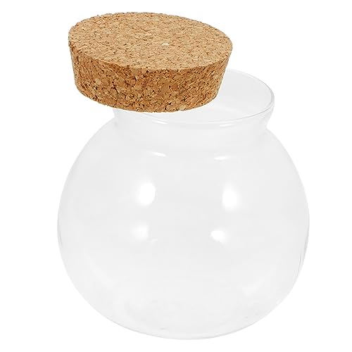 ifundom Öko-flaschenornamente Mikro-landschaftsflasche Im Freien Luftpflanzen Lebendhalter Farne Hydroponik Moos Ökologische Flasche Landschaft Flasche Drinnen Eiche von ifundom