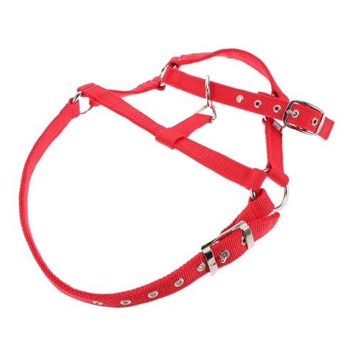 ifundom Reittraining Für Gepolstertes Pferdehalfter Wadenhalfter Pferdeleine Pferdekostüm Schafhalter Pferdehalfter Aus Seil Ziegenhalfter Abbrechbares Pferdehalfter Rot Nylon von ifundom