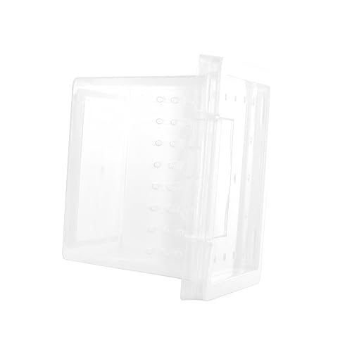ifundom Reptil Zucht Box Transparent Praktische Zucht Box Für Geckos Spinnen Und Andere Haustiere Und Tragbar Für Outdoor Nutzung Einfache Reinigung von ifundom