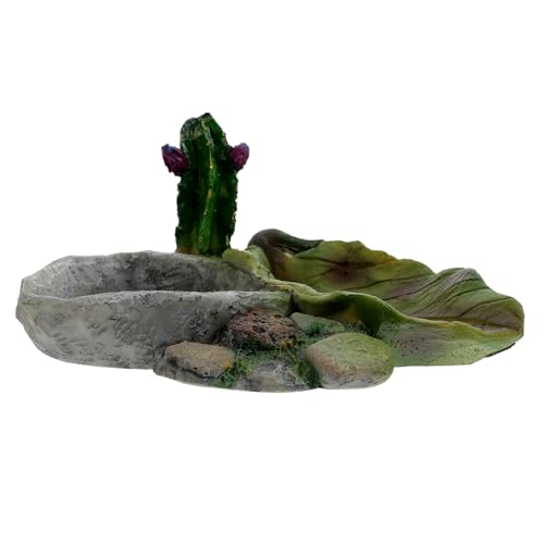 ifundom Reptilien Futter und Wassernapf Runder Pet Food Feeder aus Lebensmittelechtem Material für Schildkröten und Eidechsen zu Reinigen Süßes ifundom Reptilien Futter und Wassernapf Runder Pet Food Feeder aus Lebensmittelechtem Material für Schildkröten und Eidechsen zu Reinigen Süßes von ifundom