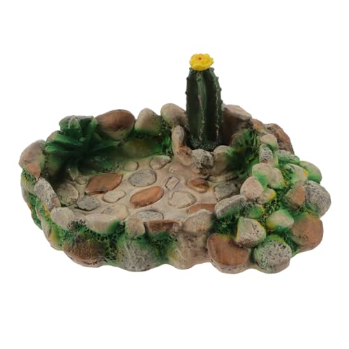 ifundom Reptilien Futter und Wasserschale im Kaktusdesign Stabile Fütterungsschüssel für Eidechsen und Schildkröten Langlebig Sicher und Pflegeleicht für Terrarien von ifundom