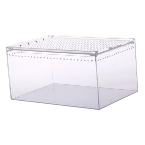 ifundom Reptilien Futterbox Transparent Wasserdichtes Terrarium für Frösche Spinnen Schlangen und Einfach zu Reinigen für Zucht ifundom Reptilien Futterbox Transparent Wasserdichtes Terrarium für Frösche Spinnen Schlangen und Einfach zu Reinigen für Zucht von ifundom