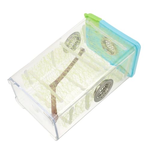 ifundom Reptilien Zuchtbox Transparent Für Stabheuschrecken Und Springspinnen Langlebige Futterbox Aus Kunststoff Für Terrarien Inklusive Belüftungslöcher Geeignet Für Zuhause Und von ifundom