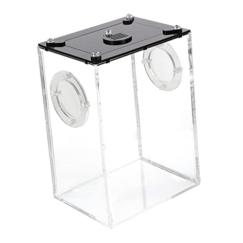 ifundom Reptilienbox Transparent Zuchtbox für Eidechsen Spinnen und Schlangen Sicheres Material für Haustiere und Transport Lebender Futtertiere von ifundom