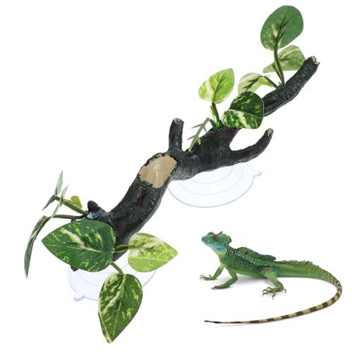 ifundom Reptilienzweig aus Kletterzweig für Terrarium Pflanzen Dekoration für Eidechsen Schlangen und Chamäleons zu Installieren ifundom Reptilienzweig aus Kletterzweig für Terrarium Pflanzen Dekoration für Eidechsen Schlangen und Chamäleons zu Installieren von ifundom