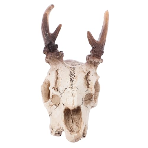 ifundom Resin Deer Skull Aquarium Decor für Bartagamen Lifelike Versteck für Reptilien Höhle für Aquarien und Terrarien Dekoration für Sicheres Habitat ifundom Resin Deer Skull Aquarium Decor für Bartagamen Lifelike Versteck für Reptilien Höhle für Aquarien und Terrarien Dekoration für Sicheres Habitat von ifundom