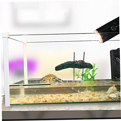ifundom Schildkröten Sonnenplattform mit Saugnapf Kreative Rampenlösung für Aquarien für Wasserschildkröten und Reptilienzubehör Mittelgröße ifundom Schildkröten Sonnenplattform mit Saugnapf Kreative Rampenlösung für Aquarien für Wasserschildkröten und Reptilienzubehör Mittelgröße von ifundom