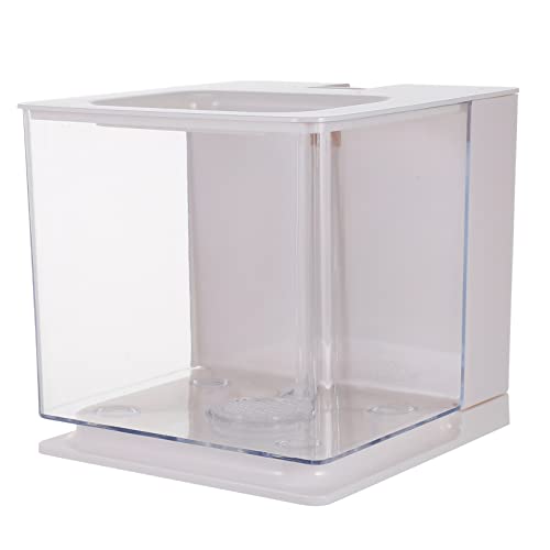 ifundom Selbstreinigendes Aquarium Transparentes Fischbecken für Desktop Einfach zu Reinigen für Kleine Fische und Pflanzen für Wohnzimmer und Büro von ifundom