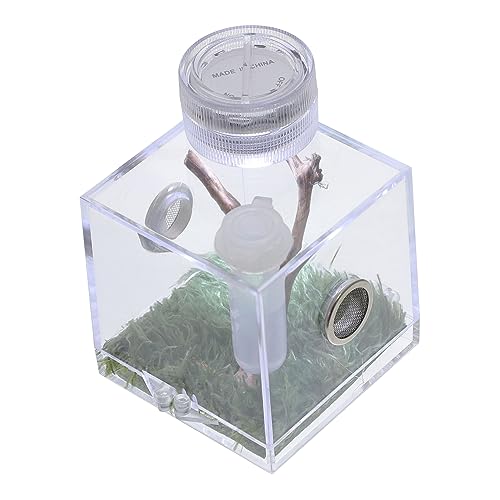 ifundom Spider Habitat Box Hochtransparenter Käfig für Springspinnen mit Mini Lampe zur Aufzucht und Fütterung von Insekten mit Feuchtigkeitsregler und Stabiler Konstruktion ifundom Spider Habitat Box Hochtransparenter Käfig für Springspinnen mit Mini Lampe zur Aufzucht und Fütterung von Insekten mit Feuchtigkeitsregler und Stabiler Konstruktion von ifundom
