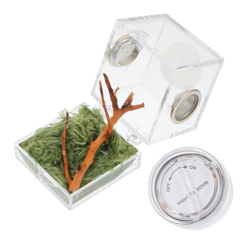 ifundom Sprungspinnen Habitat Box Transparente Zuchtbox für Sprungspinnen Luftzirkulation Sicher und für Artgerechte Haltung und Einfache ifundom Sprungspinnen Habitat Box Transparente Zuchtbox für Sprungspinnen Luftzirkulation Sicher und für Artgerechte Haltung und Einfache von ifundom