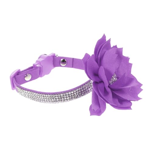 ifundom Strasskatze Halskette Hundehalsbänder Halskette Für Hunde Hundehalsband Hundekette Für Hunde Hundehalsbänder Bequem Netter Hundehalsband Hundehalsketten Hund Strass Halsband Samt von ifundom
