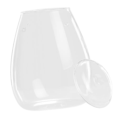 ifundom Terrarienflasche Flaschenterrarium geometrisches Pflanzenterrarium Anlage drinnen Sukkulenten wachsen Landschaft Flasche dekorativer Mikro-Landschaftsbehälter Glas von ifundom